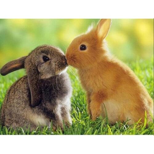 New Diy 5D Diamond Painting Two Rabbit Full Display Diamond Embroidery Full Square Cross Stitch Rhinestones Decoration Home Gift