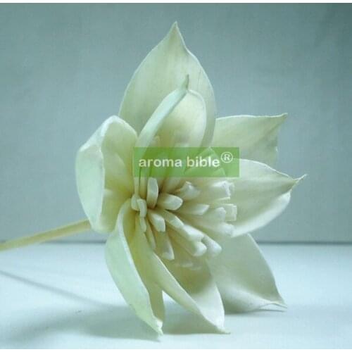 1000 pcs /lot Handmade sola wood flowers for fragrance diffuser and home decor with 12cm Rope or rattan reed sticks Top quality