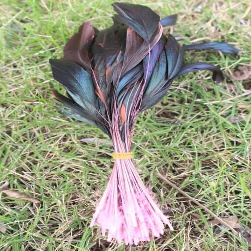 Beautiful 10pcs 5-7 inch/12-18cm Pink rooster feathers Clothing jewelry Headwear Christmas Holiday Decorative Feathers