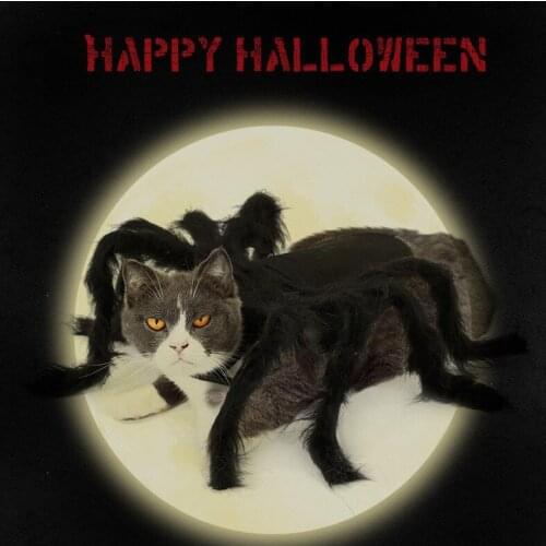 Halloween Pet Spider Clothes Puppy Cat Terror Simulation Plush Spider Transformed Dress Party Dress Up