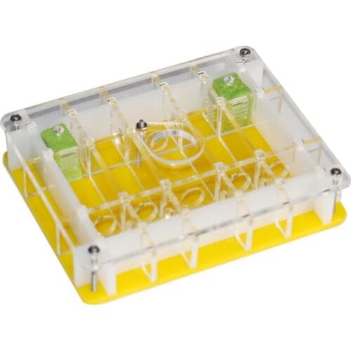 Insect Grate Lair Transparent Acrylic Box Ant Farm Feeding Ornament Box Eco Pet Nest Gift