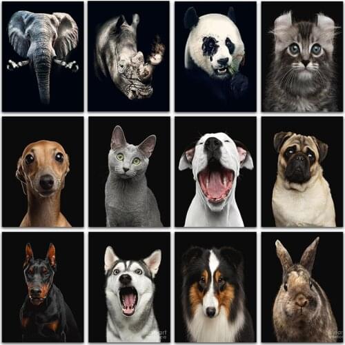 5D Diamond Painting Kit animals Cat dog Bulldog Husky rabbit Full Square&Round embroidery mosaic Cross stitch Paint home decor
