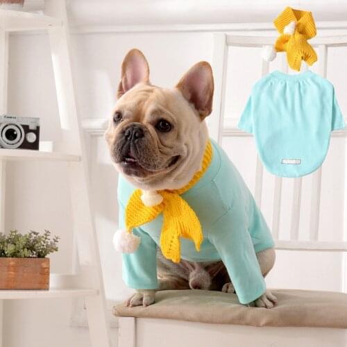 Puppy Dog Clothes Fashion Autumn And Winter New Two-Legged Sweater French Bulldog Teddy Casual Solid Color Sweater