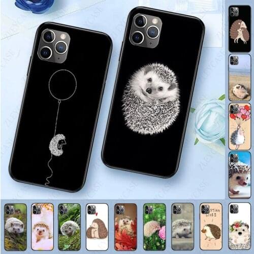 Colorful Cute Phone Accessories Case For iphone 11 11pro max 5s SE 6s 7 8plus x xs xr xsmax case Cellphones Cute lovely Hedgehog