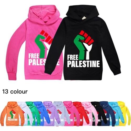 Free Ship Childrens Wear Boys Hooded Top Sweatershirt Cotton Palestine Girls T Shirt Fall Boutique Outfits Baby Girl 8 To 12