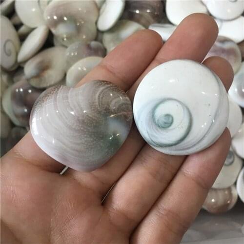 1pcs heart & 1pcs circle beautiful natural stones and minerals sun conch healing crystals for home & wall decoration