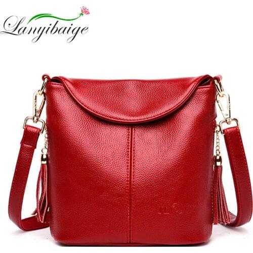 LANYIBAIGE Fringed Bags For Women