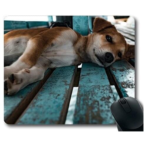 Dogs Galore Mouse Pad,Puppy Laying Dog Pet Animal Canine Cute Baby,dogs mouse mat