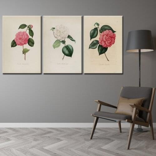 Multicolor Camellia Flower Poster Print Nordic Style Living Room Wall Art Pictures Home Decor Canvas Painting Drop Shipping