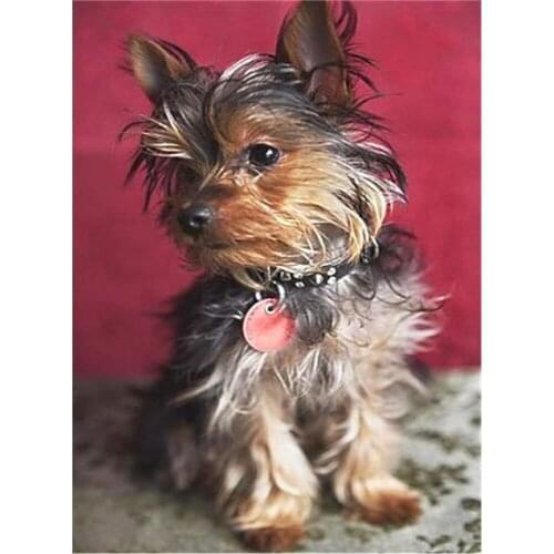 Animal Yorkshire Terrier Printed Water-Soluble Canvas 11CT Cross Stitch Embroidery Patterns DMC Threads Hobby Sales