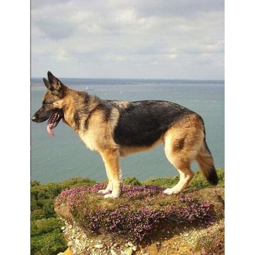 Full Square/Round Drill 5D DIY Diamond Painting "German Shepherd" 3D Diamond Embroidery Dog Cross Stitch Home Decor Gift FG1851