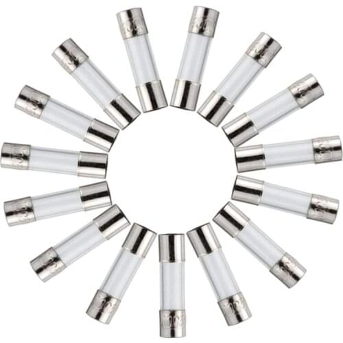 GTBL Fast Blown Glass Fuses Sorting Kit 5X20mm 250V 6X30mm Hybrid Fuses Set Various Types of Assembly