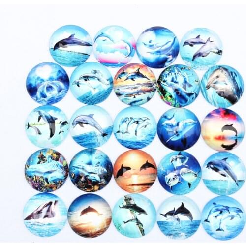 From 8mm to 30mm Random Mixed Round Dolphin Animal Cabochons Pattern Glass Flatback Photo Base DIY Making Accessories Paired