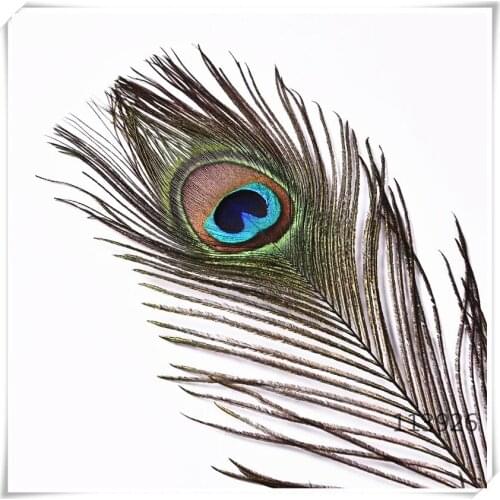 Wholesale 100pcs 90-100cm peacock feathers real peacock feather plumes for wedding/party decoration carnaval accessories
