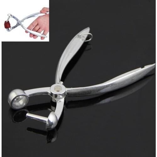 Silver Aluminum Cherry Pitter Red Dates Olives Pit Easy Removal Core Squeeze Clamp Seeder 18*3.5cm(Silver)