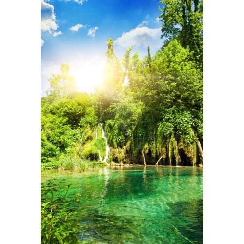 Free shipping spring nature scenic vinyl photography background sunshine digital printing backdrop for idea photo studio D665