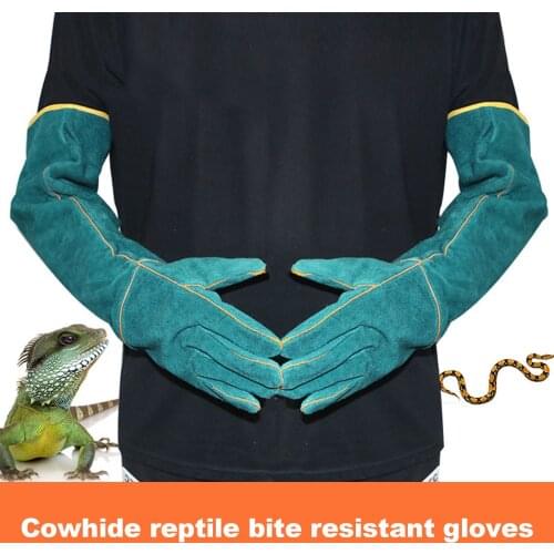 Чесалки для кошек DADYPET China At AliExpress