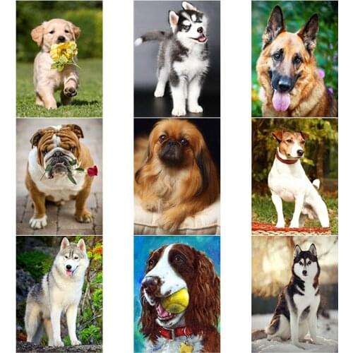 DIY Diamond Sets Decor Painting Full Round Square Drill Rhinestone Embroidery Picture Cross Stitch Kit Handmade Art Decor Gift