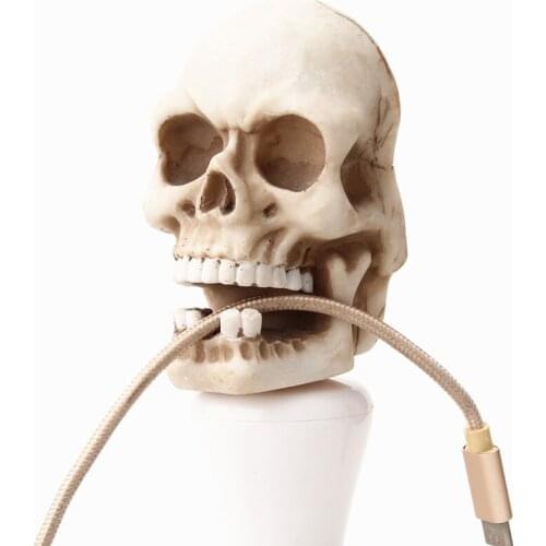Halloween Skeleton Key Holder Realistic Human Skull Decor Bobbin Winder Wall Hanging Charging Cables Store Wall Hanger DU55