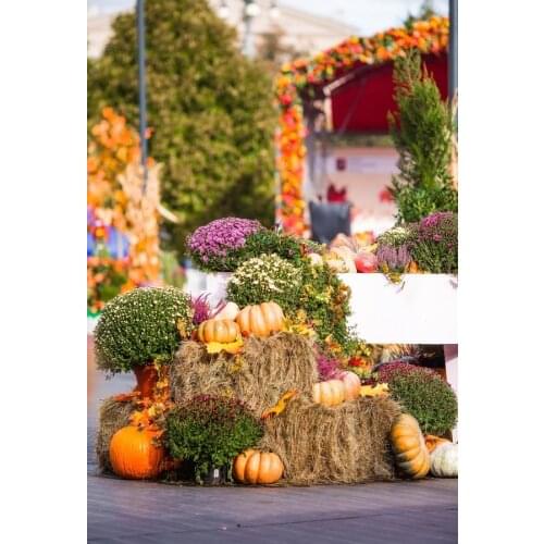 Laeacco Autumn Rural Farm Harvest Season Haystack Pumpkin Maple Party Child Baby Photo Background Photography Backdrop Photocall