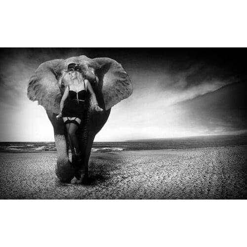 Perfact oil painting handpainted on canvas"A sexy woman and an elephant"