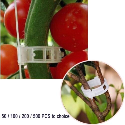200PCS NEW Plastic Plant Support Clips For Tomato Hanging Trellis Vine Connects Grape Tool Plant Vegetable Clips Agricultural