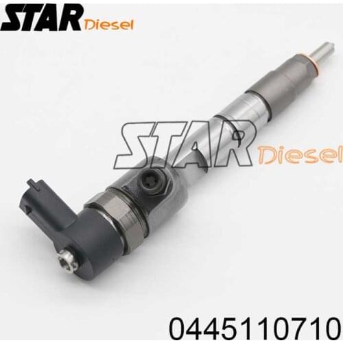 Common Rail Injection nozzle 0 445 110 710 Diesel Injection 0445110710 Diesel Injector Nozzle 0445 110 710