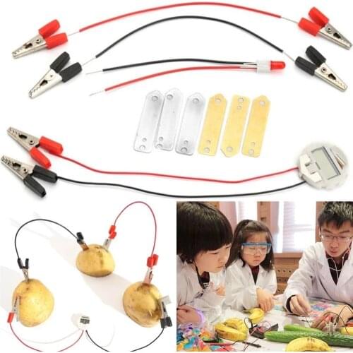 Potato Fruit Biologia Energy Generate Electricity Science Experiment Educational Toys For Children Kids School Electric STEM Kit