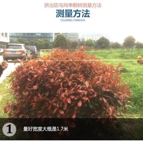 2x3M Garden Bird proof protective net for extrusion of single fruit pear fig loquat Cherry Orchard