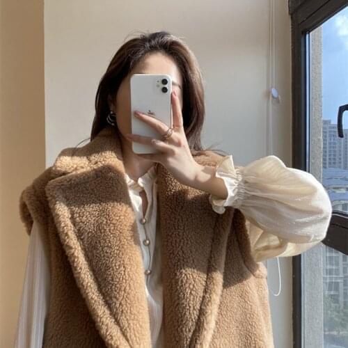 Long Women Coat Sleeveless Teddy Bear Jacket Coat Warm Fur Coat Wool Coat Women Winter Loose Coat Classic Fashion Pink Blue Coat