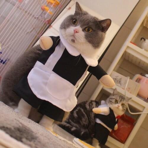 Cool Halloween Cat Costume Dog Costume, 3 Sizes Available