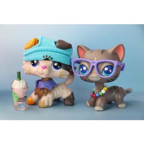 (2pcs toys)New Custom Calico Collie Stripe Shorthair Cat With 5pcs Accessories Rare Great Gift