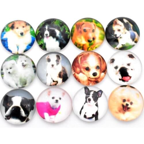 Hot Sale 10pcs 20mm Mixed Handmade Photo Glass Cabochons (Cute dog series)