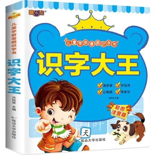Chinese Characters Learning Books Early Education for Preschool Kids Word Cards with Pictures & Pinyin Sentences Literacy