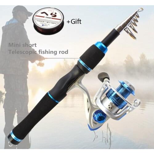Portable 165cm Carbon spinning Fishing Rod and spinning Reel Telescopic Travel Rod sea Trout Fishing bag Tackle line gift