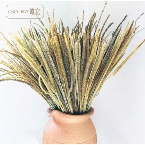 2pcsDry flower bunch natural air dried flower fruit flower wild Kirin Club living room home decoration party decoration wreath