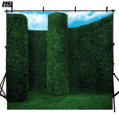 DAWNKNOW Lawn Wall Sky Vinyl Photography Background For Baby New Fabric Polyester Backdrop For Wedding Photo Studio S241