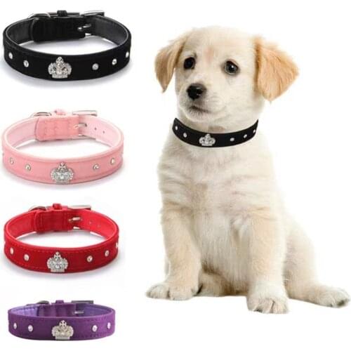 2021 New Crown Rhinestone Adjustable Pet Collar pu Leather Fashion Cute Neckband Kitten and Dog Accessories Pet Supplies