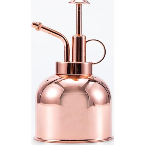 Vintage Style House Plant Watering Pot for Succulent Plants Spraying Bottle Golden Gardening Water Cans 300ml