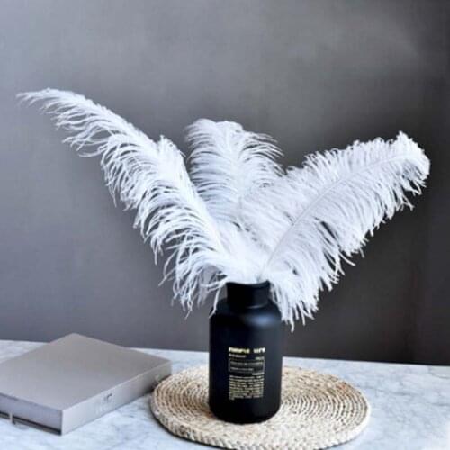 10PCS/Pack 3Sizes Beautiful White Pink Ostrich Feathers DIY Wind Bell Parts Decor Wedding Birthday Christmas Decorations 15-30cm