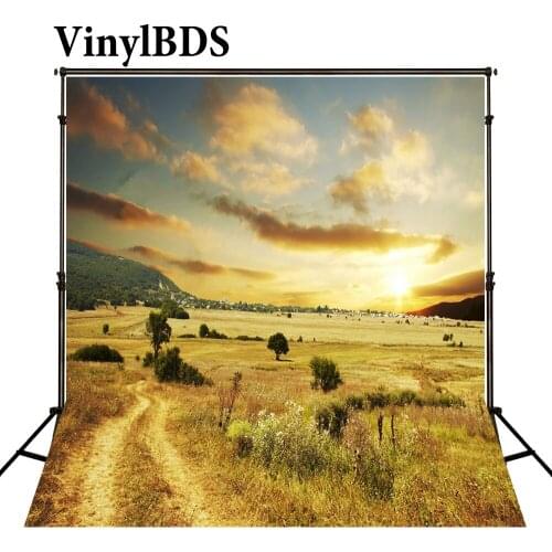 VinylBDS Photography Background Blue Sky Photography Background Children Green Grass Photo Studio Scenery Background Backdrop