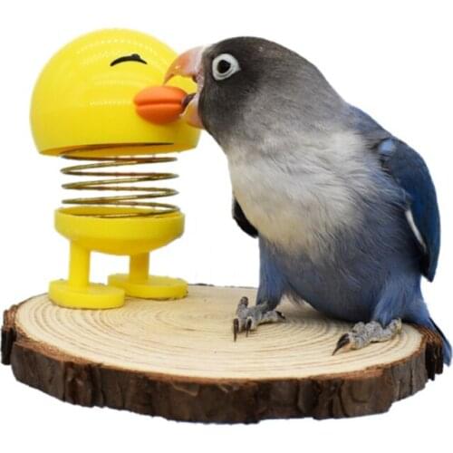 Round Wooden Squirrel Parrot Perches Cage Hanging Toy with Plastic Springs Chicken Pet Bird Stand Hamster Platform