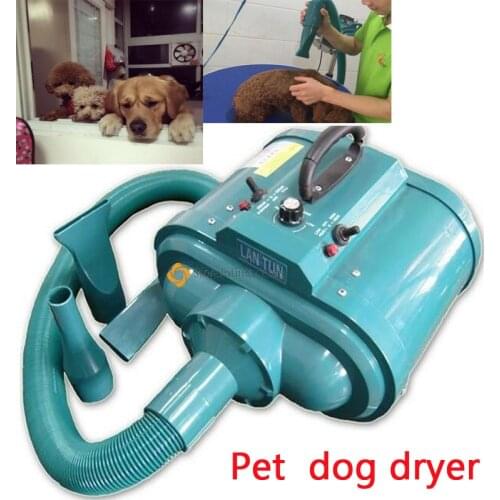 220V Dog Hair Drying Machine Dog Blower Innovative High Power Pet Dog Hair Dryer LT1090D-H