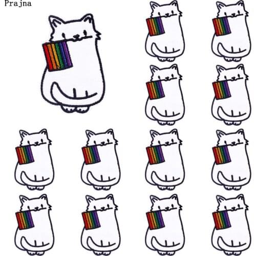 Prajna 10 PCS Wholesale Cat Rainbow National Flag Applique Embroidered Patches For Clothing Cartoon Animal Patches On Clothes