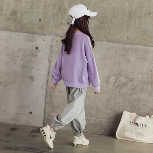 Teenage Girls Autumn Sports Clothes Set 2020 New Korean Sweatshirt and Casual Pants Set Kids Girls Cotton Two-Piece Set, #1058