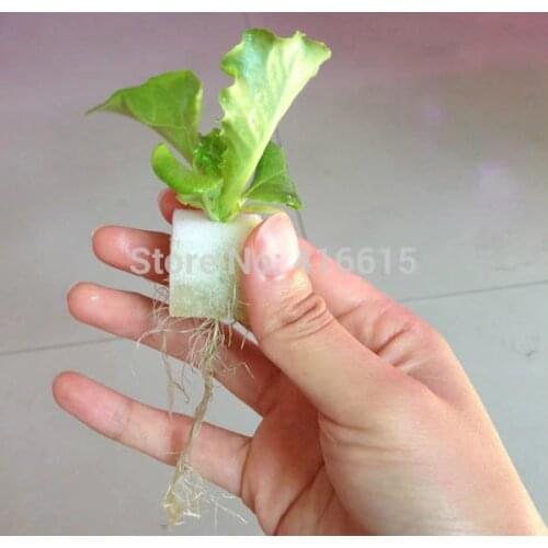 Foam Cubes For Starting Seeds Nursery Sponge For Hydroponics System Seedling Sponge Soilless Cultivation (117PCS-pack)