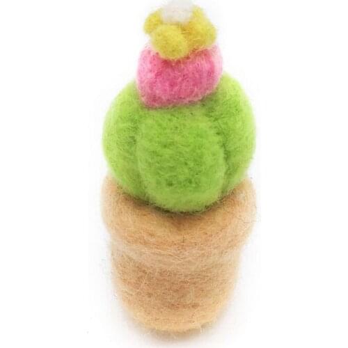 Succulent Needle Felting Kits with 3 Felting Needles, English Manual, Enough Wool, Suitable for Beginners (C)