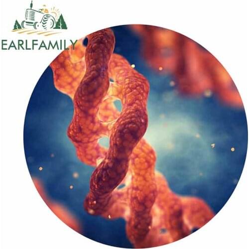 EARLFAMILY 13cm x 13cm Collagen Triple Helix Cartoon Decal Creative Car Sticker Waterproof Sunscreen Scratch-Proof Decoration