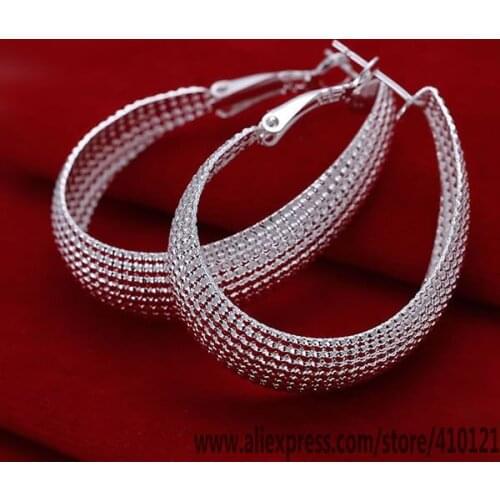 DT-E064 Hot Sale High Quality Silver Sterling Jewelry,Wholesale Silver Charms Fashion Web Earrings/ASDFERAS QDFFGTRC