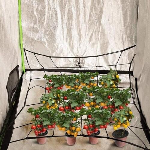 1 pcs Flexible Net Trellis Elastic Trellis Netting With 4 Steel Hooks For Grow Tents Garden For Plant Cultivation In Plant Tents